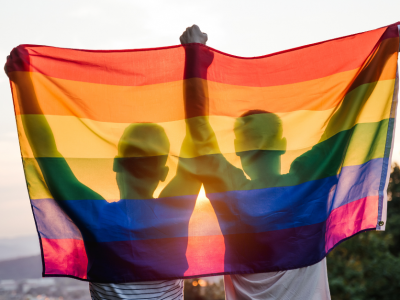 gay guys rainbow flag